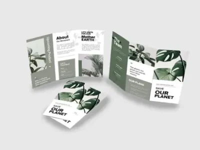 Custom Brochures